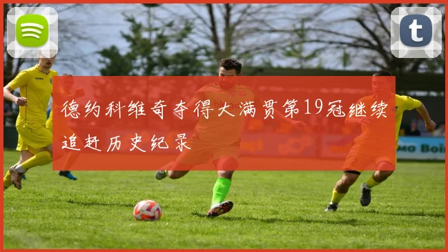 德约科维奇夺得大满贯第19冠继续追赶历史纪录