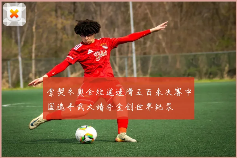 索契冬奥会短道速滑五百米决赛中国选手武大靖夺金创世界纪录